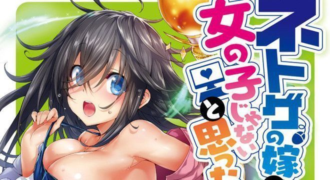 Netoge no Yome wa Onnanoko ja Nai to Omotta? HDTV 720p Legendado - Torrent